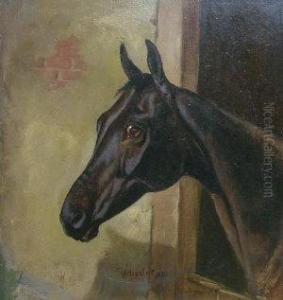 A Dark Bay Horse In A Stable