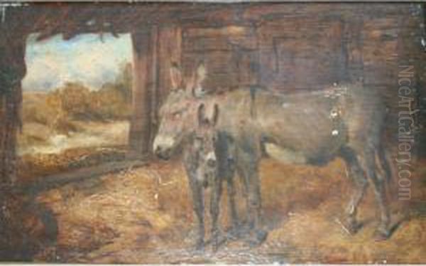 A Donkey With A Foal - view 1