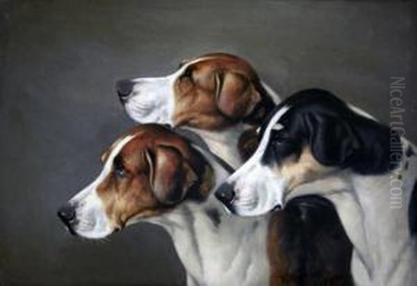 Foxhounds - view 1