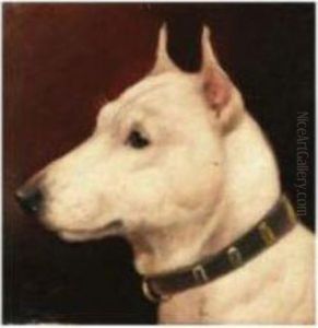 Head Of A Bull Terrier by T. Wheeler