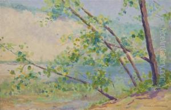 Saugatuck, Mi - view 1