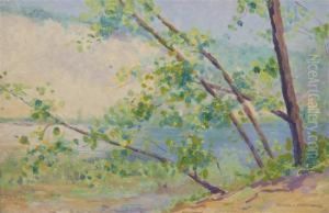 Saugatuck, Mi by Mabel L. Wheelock
