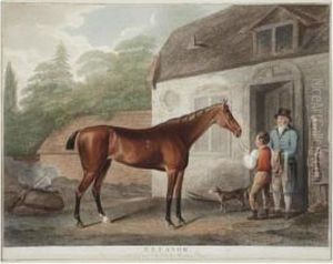 Portraits Of Celebrated Running Horses by John Whessell
