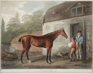 Portraits Of Celebratedrunning Horses