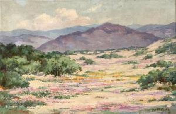 Blooming Desert Landscape - view 1