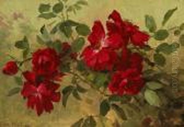Red Roses - view 1