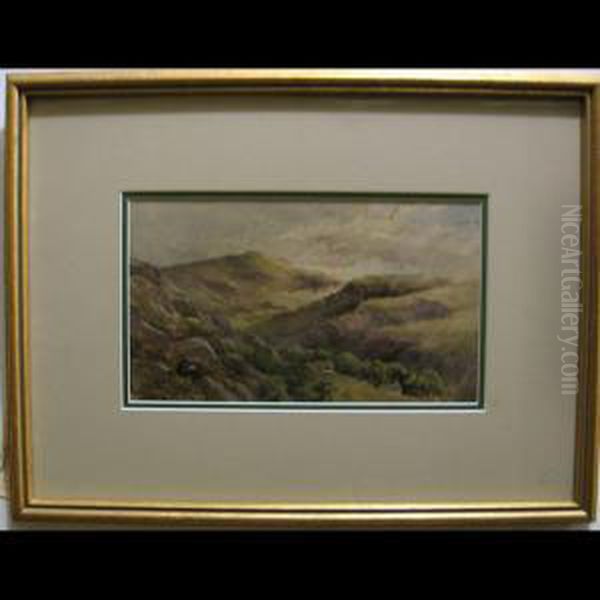 Artist In The Hills - view 1