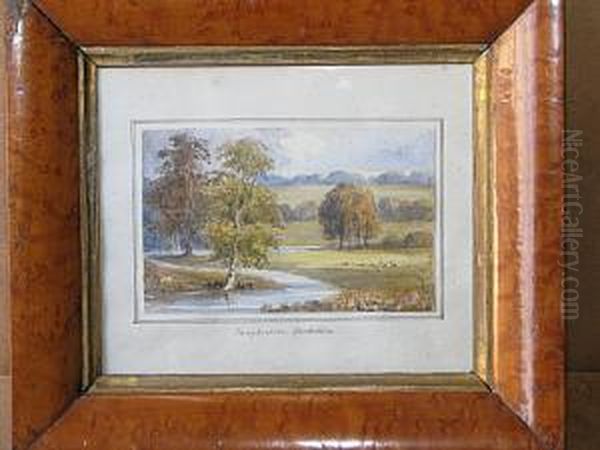 River Landscape - view 1