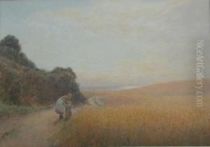 A Walk By The Cornfield
