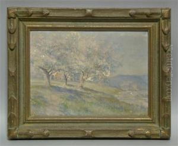 Cherry Blossoms - view 1