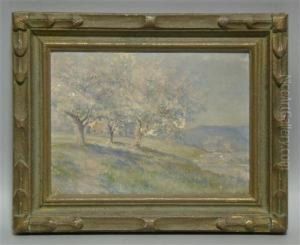 Cherry Blossoms by Verner White