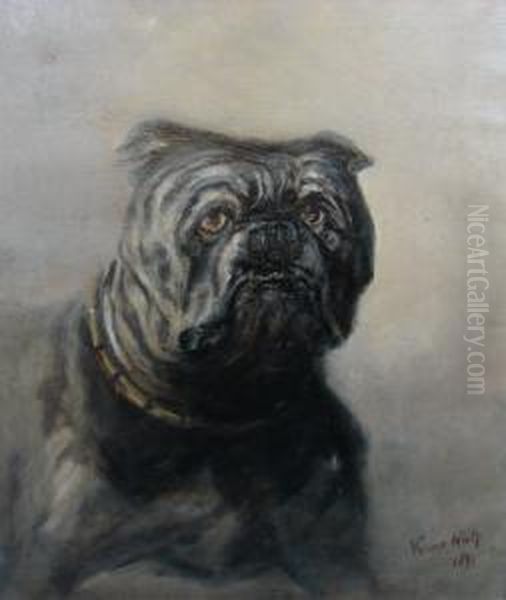 Portrait Of A Bulldog - view 1