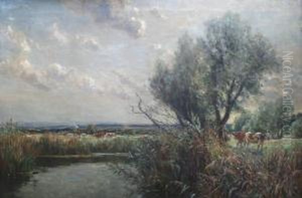 Cattle In Pasture, Probably In Dorset - view 1