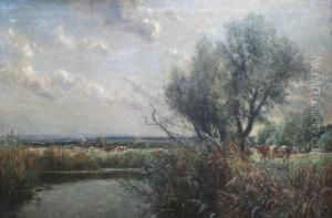 Cattle In Pasture, Probably In Dorset by Frederick William N. Whitehead