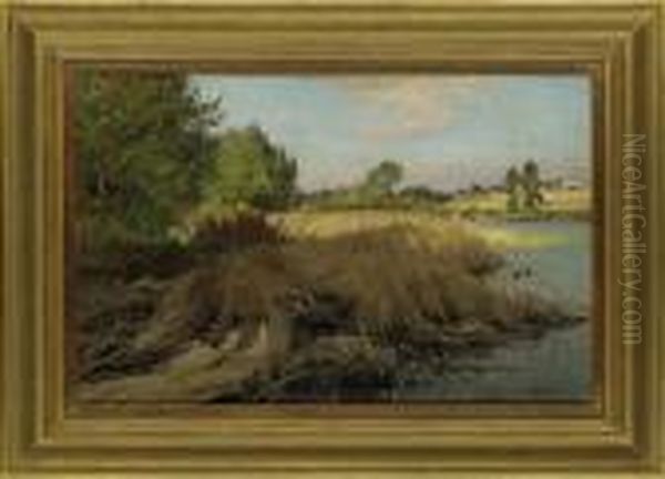 Ducks On A Reedy River Bank - view 1