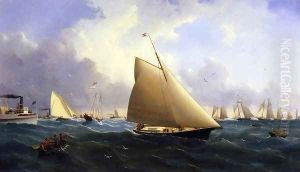 New York Yacht Club Regatta off New Bedford by William Bradford