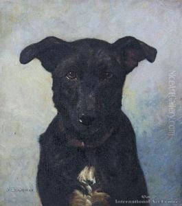 Dog Study