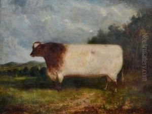 Prize Bull In Extensive Landscape With Town And Hills Beyond by P. Whitford