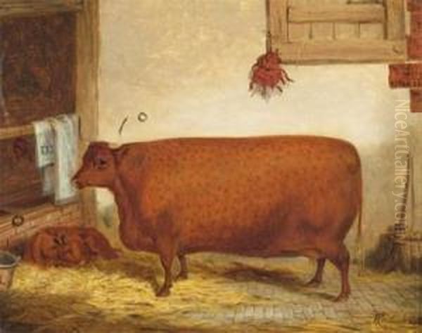 Prize Cow And Calf In Astable - view 1