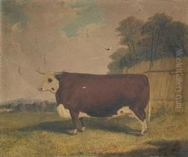 A Prize Cow In A Landscape - view 1