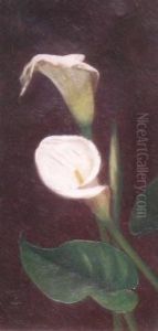 Calla Lilies by Sarah Whitman