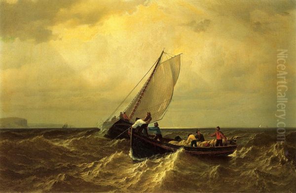 Fishing Boats On The Bay Of Fundy - view 1