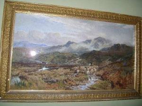 Droving Sheep - view 1