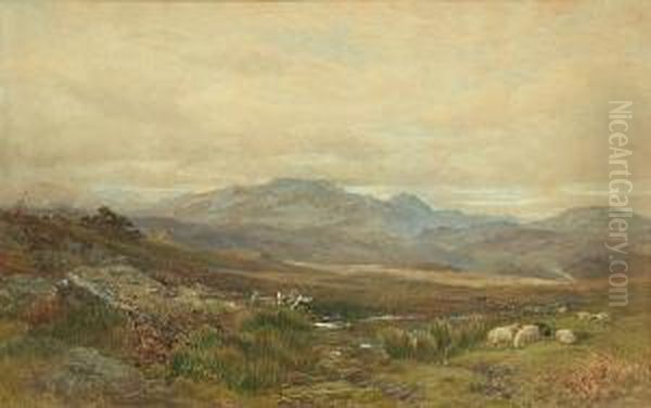 Sheep In A Scottish Landscape - view 1