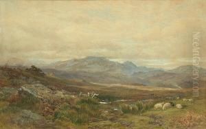 Sheep In A Scottish Landscape by James William Whittaker