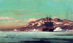 Artic Scene