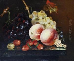 Still Life Of Fruit On A Ledge by Thomas Whittle
