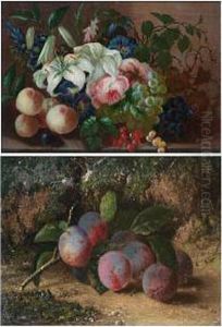 Still Life Of Plums On A Mossy Bank by Thomas Whittle