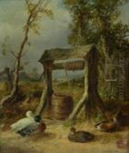 Ducks By The Well by Thomas Ii Whittle