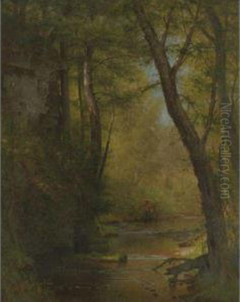 Brook In The Woods - view 1