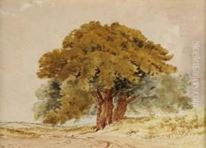Untitled by George Whyatt