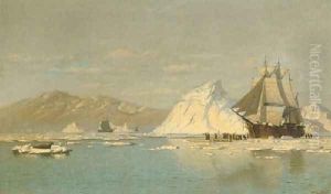 Off Greenland Whaler Seeking Open Water by William Bradford
