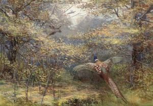 Pheasants In Flight
