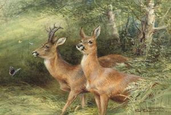 Roebuck - view 1