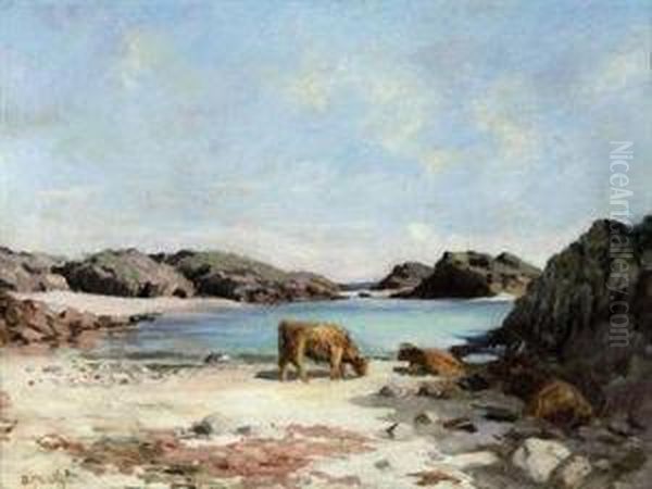 Highland Cattle On The Beach, Tiree - view 1