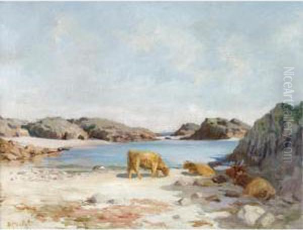 The White Sands Of Tiree - view 1