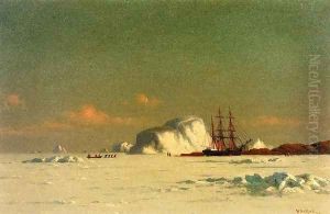 In the Arctic