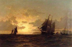 Return of the Whales by William Bradford