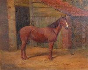 Portrait Of A Bay Horse by Richard Dodd Widdas