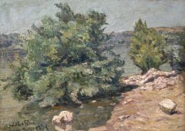 Folyoparti Taj - view 1