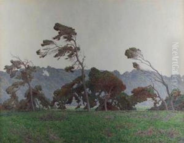 Pines At Monterey - view 1