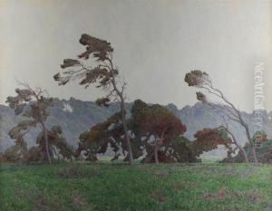 Pines At Monterey
