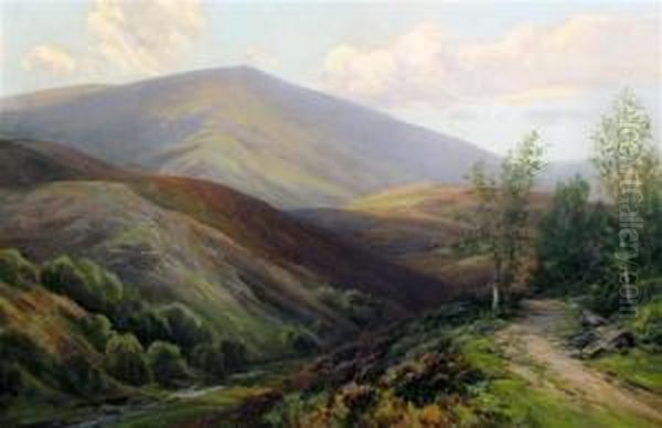 Dartmoor Landscape - view 1