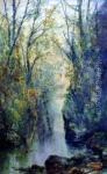 Woodland Pool - view 1