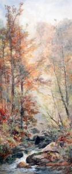 Woodland Streams - view 1