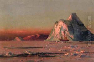 The Bark "Panther" Under the Midnight Sun by William Bradford